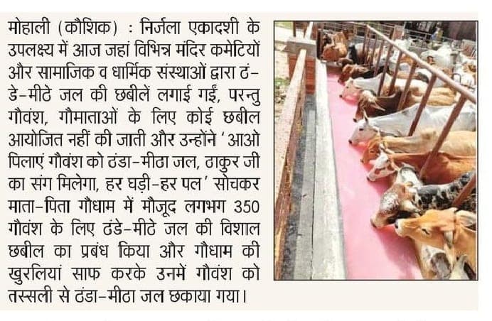 dainik savera